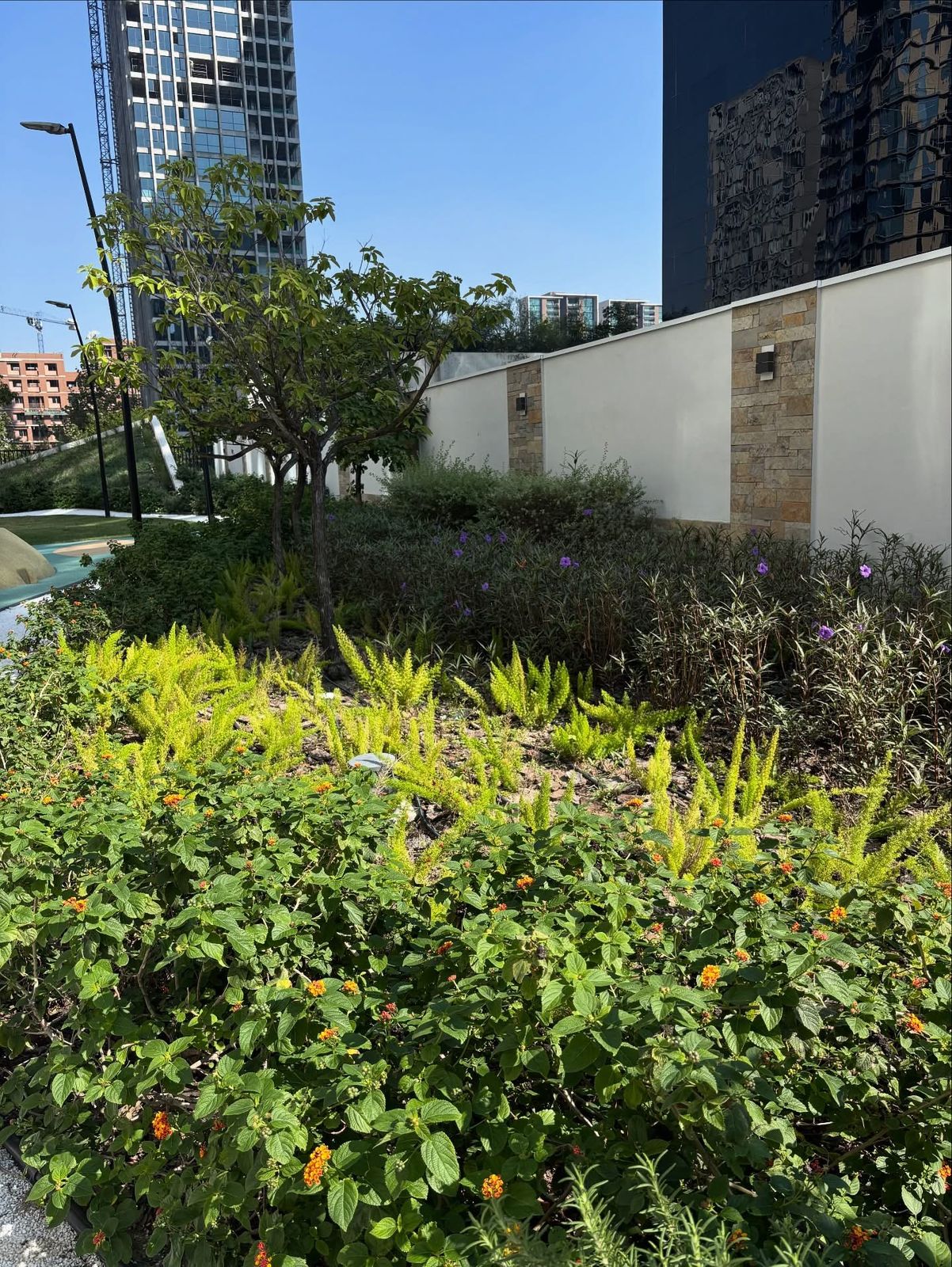 Jardín en edificio corporativo