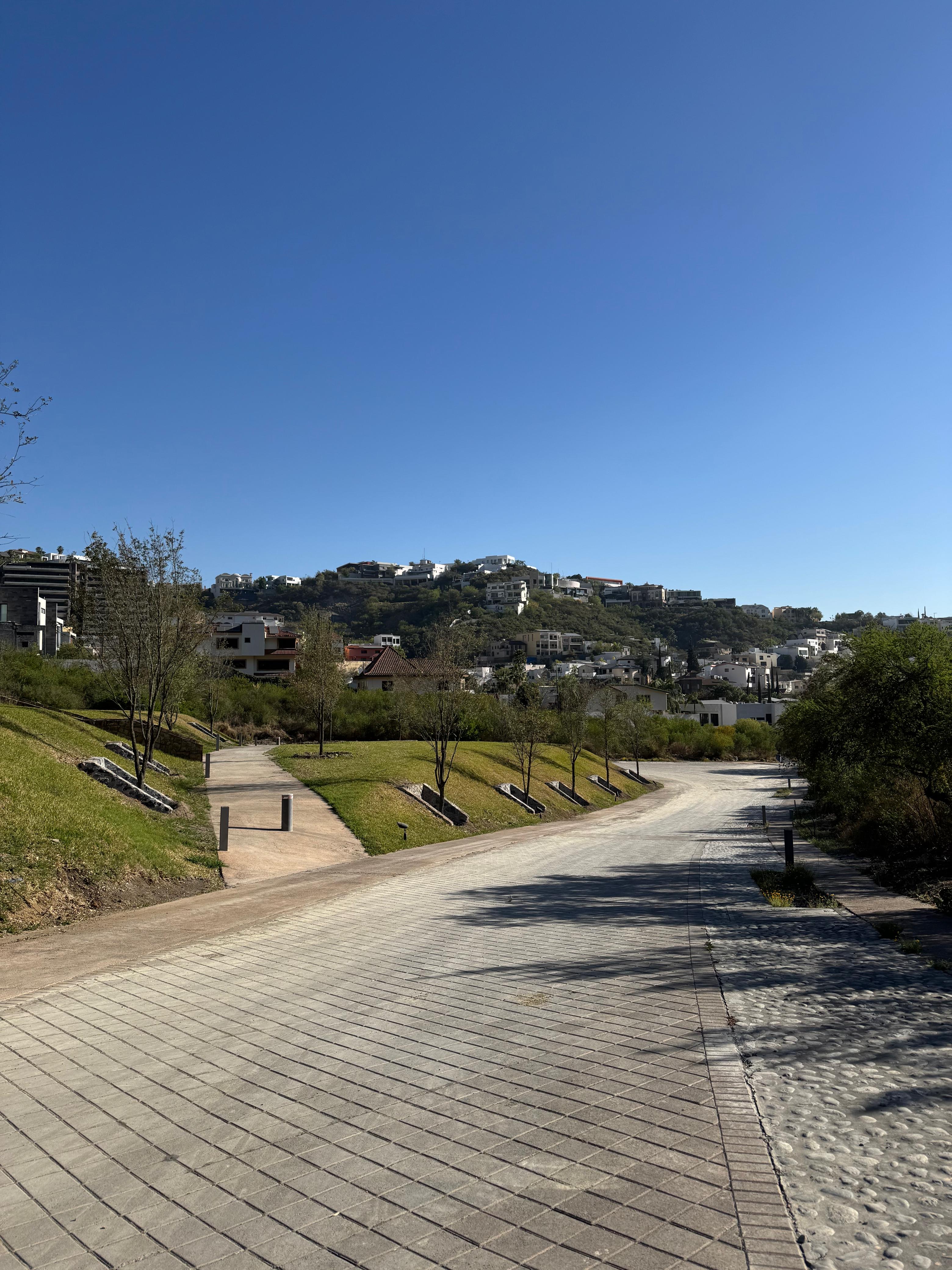 Proyecto de arbolado urbano